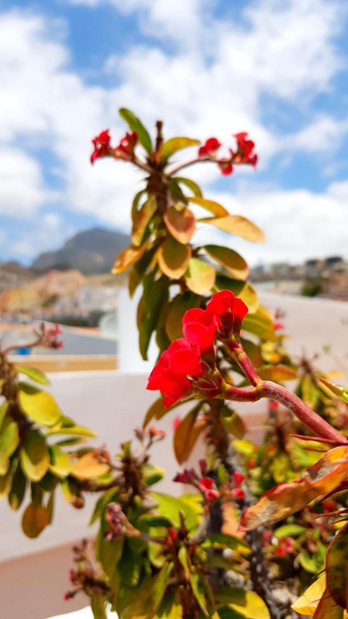 Warm, Cozy And Comfortable Costa Adeje  ภายนอก รูปภาพ